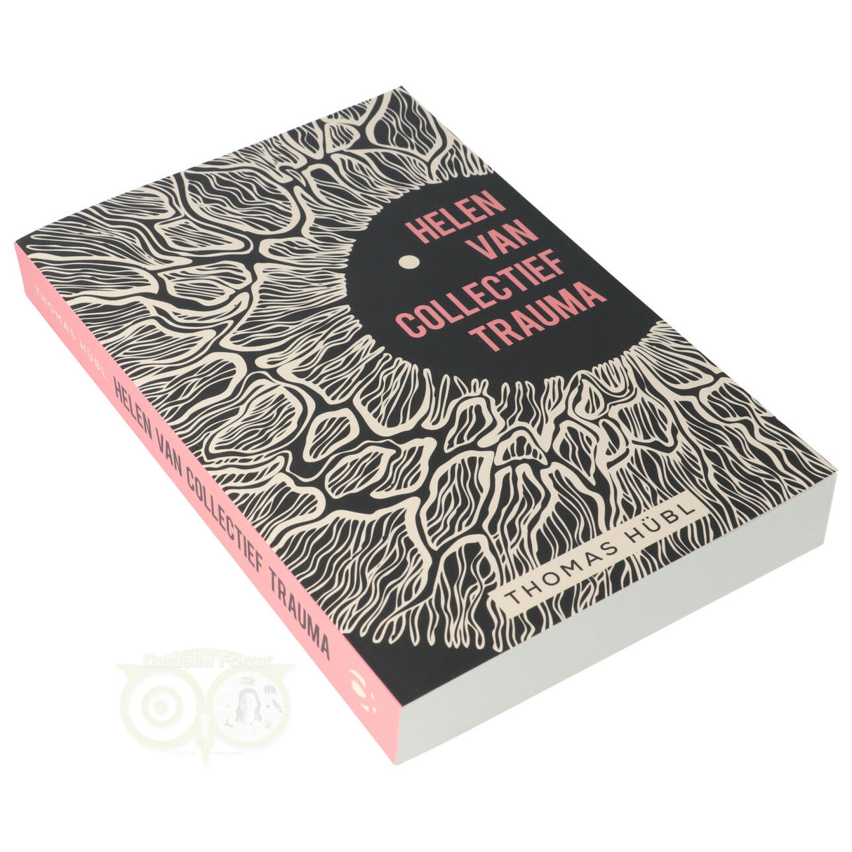 Healing from Collective Trauma - Thomas Hübl