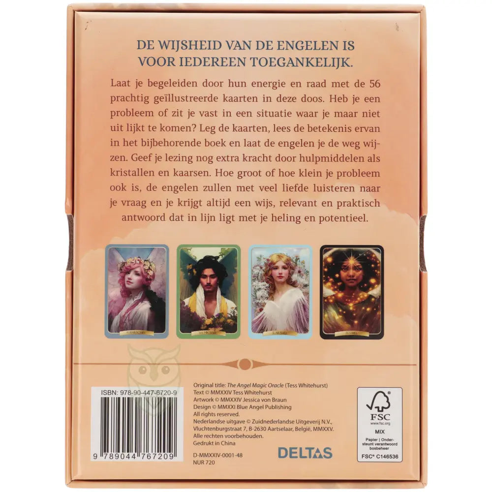 Het orakel van de engelen - Tess Whitehurst