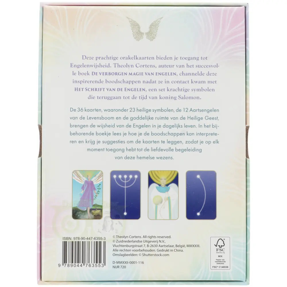 Het schrift van de engelen - Theolyn Cortens