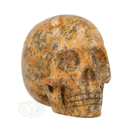 Jasper Breccia Skull 260 grams