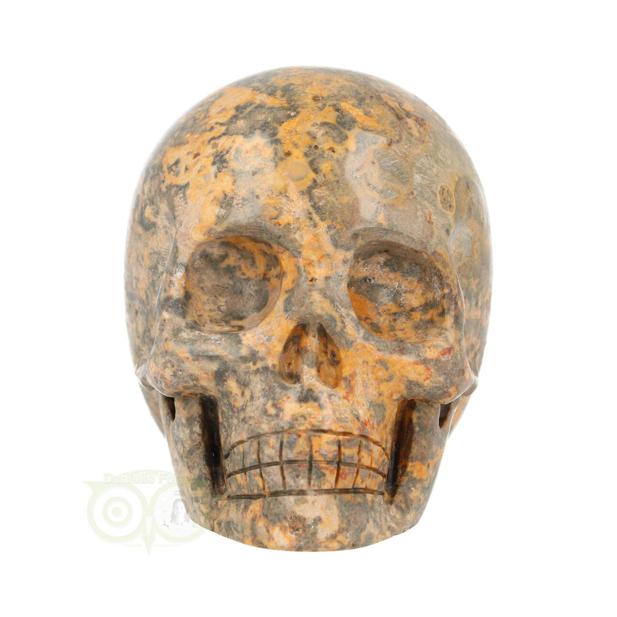 Jasper Breccia Skull 267 grams