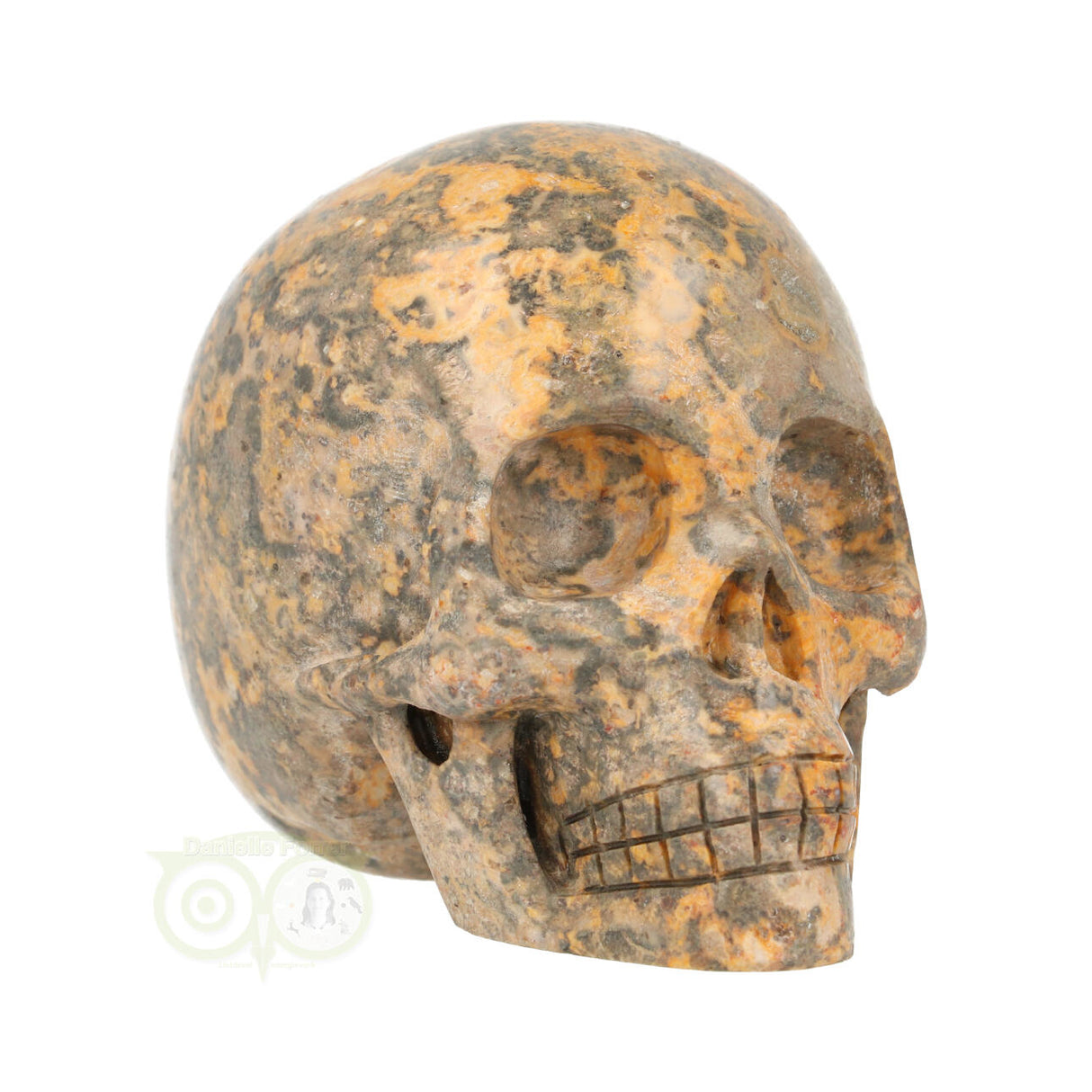 Jasper Breccia Skull 267 grams