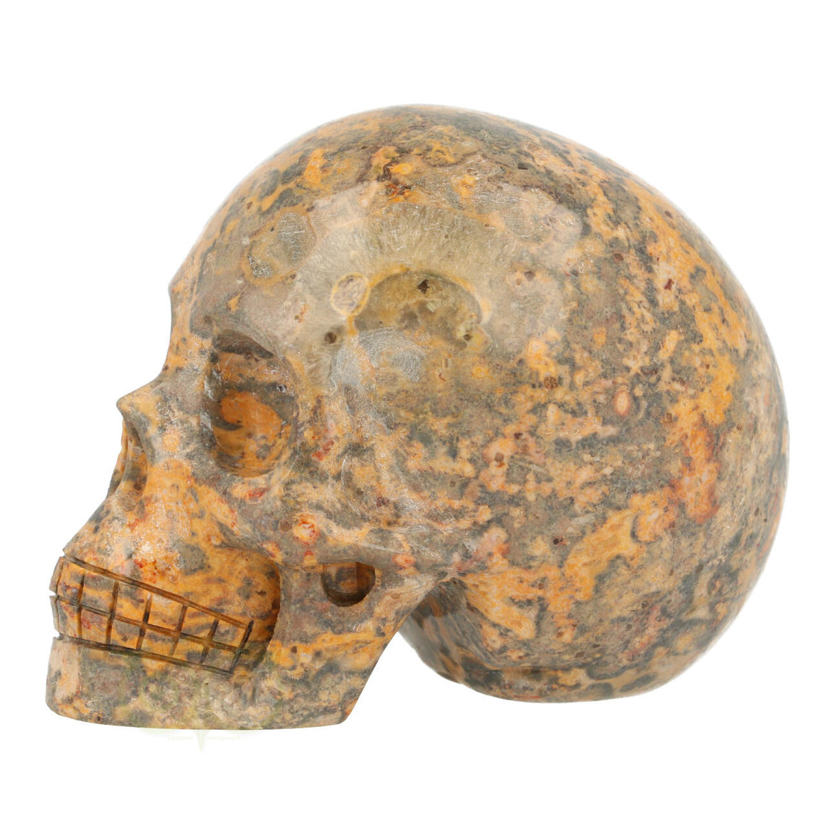 Jasper Breccia Skull 267 grams