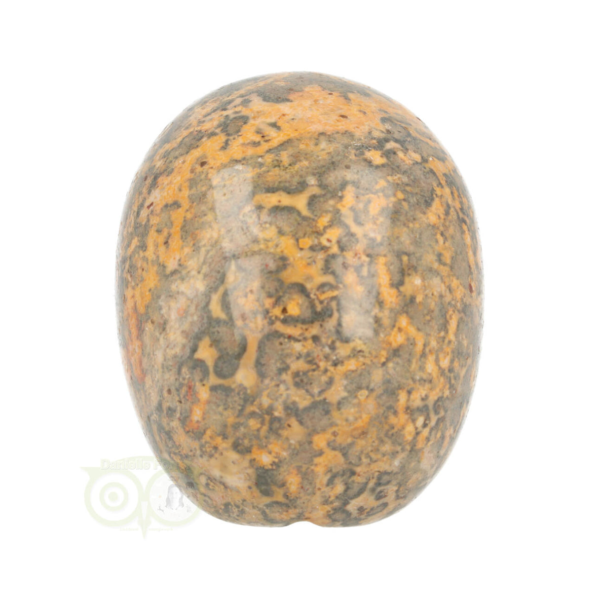 Jasper Breccia Skull 267 grams