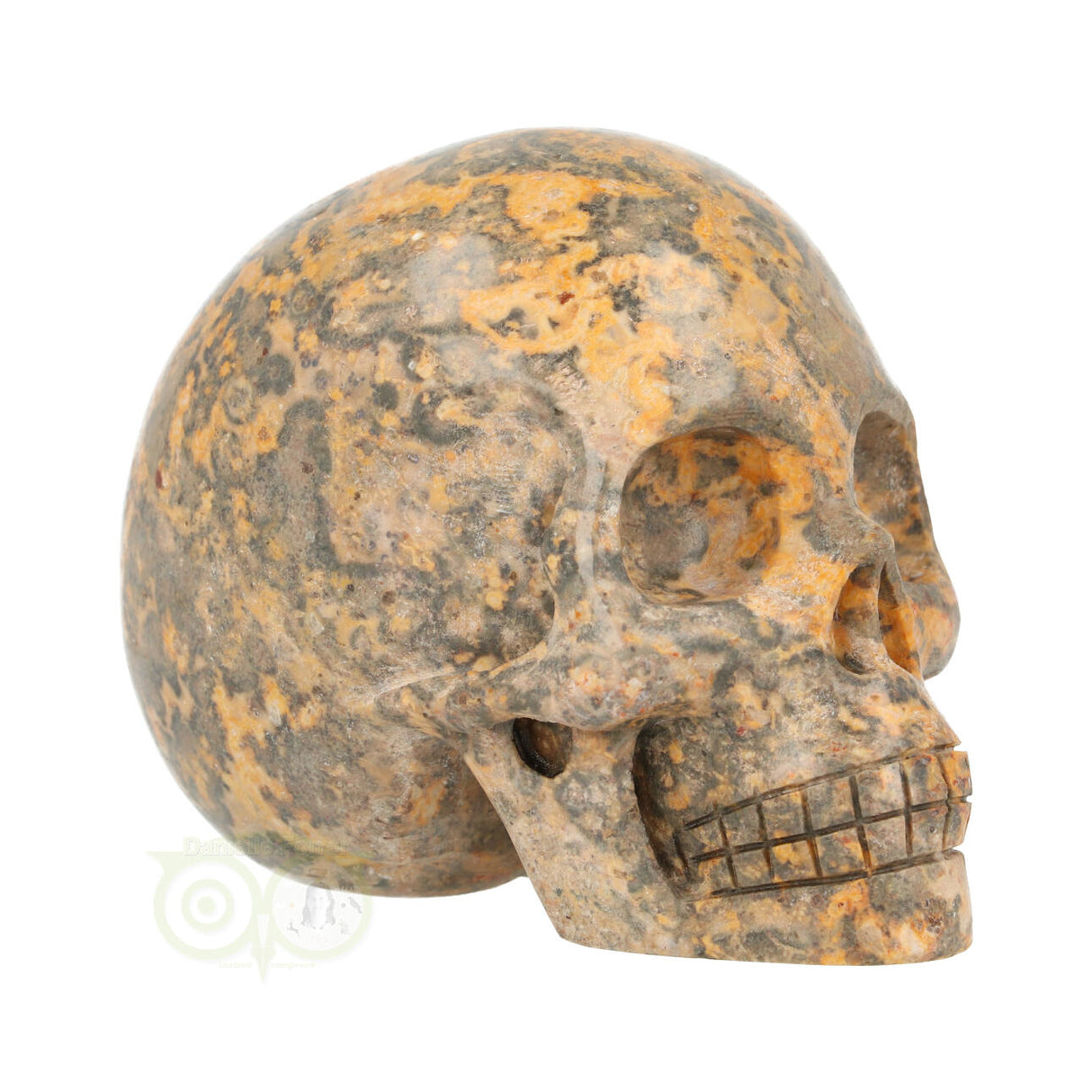 Jasper Breccia Skull 267 grams