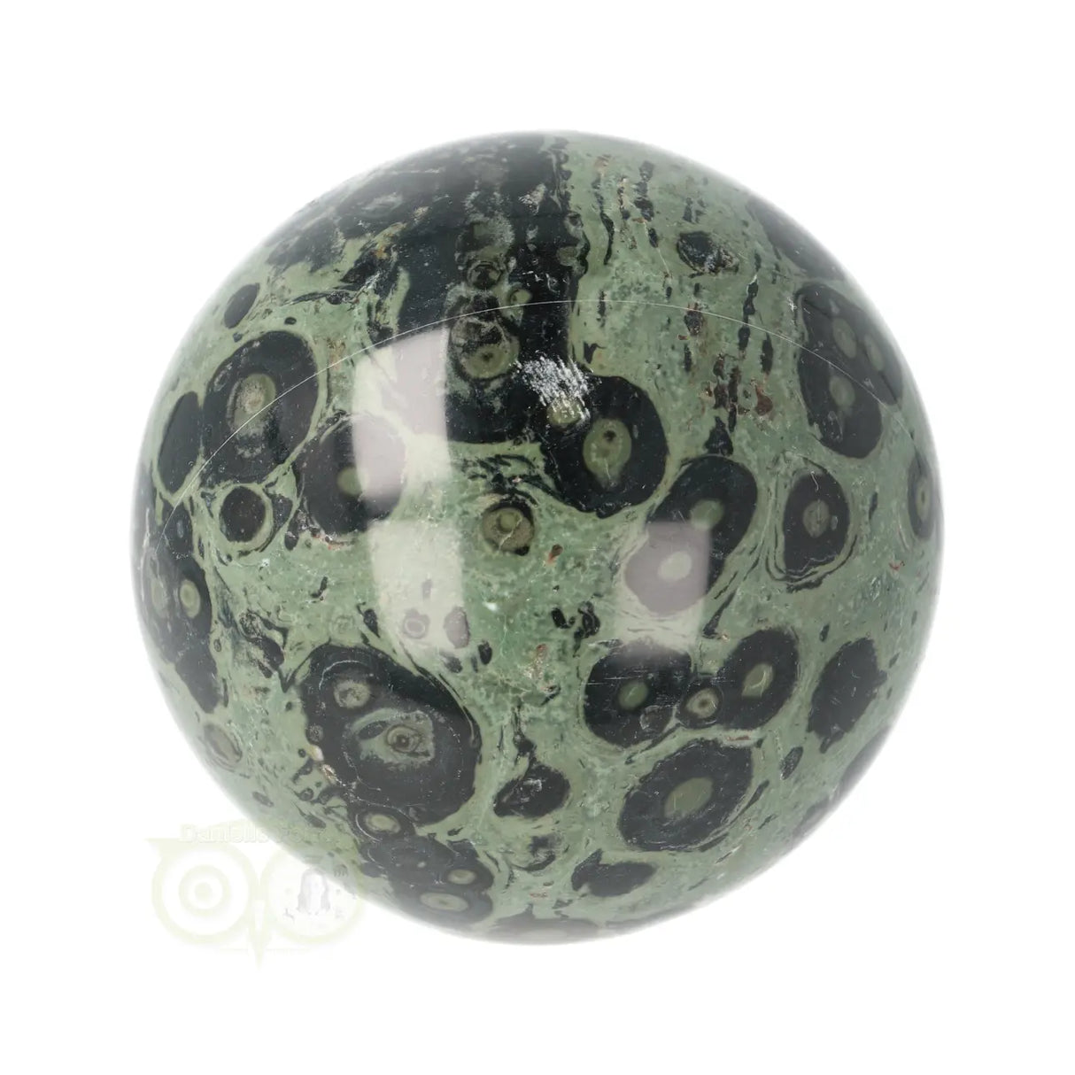 Jaspis Kambaba (Eldariet) bol Nr 25 - Ø 6.98 cm