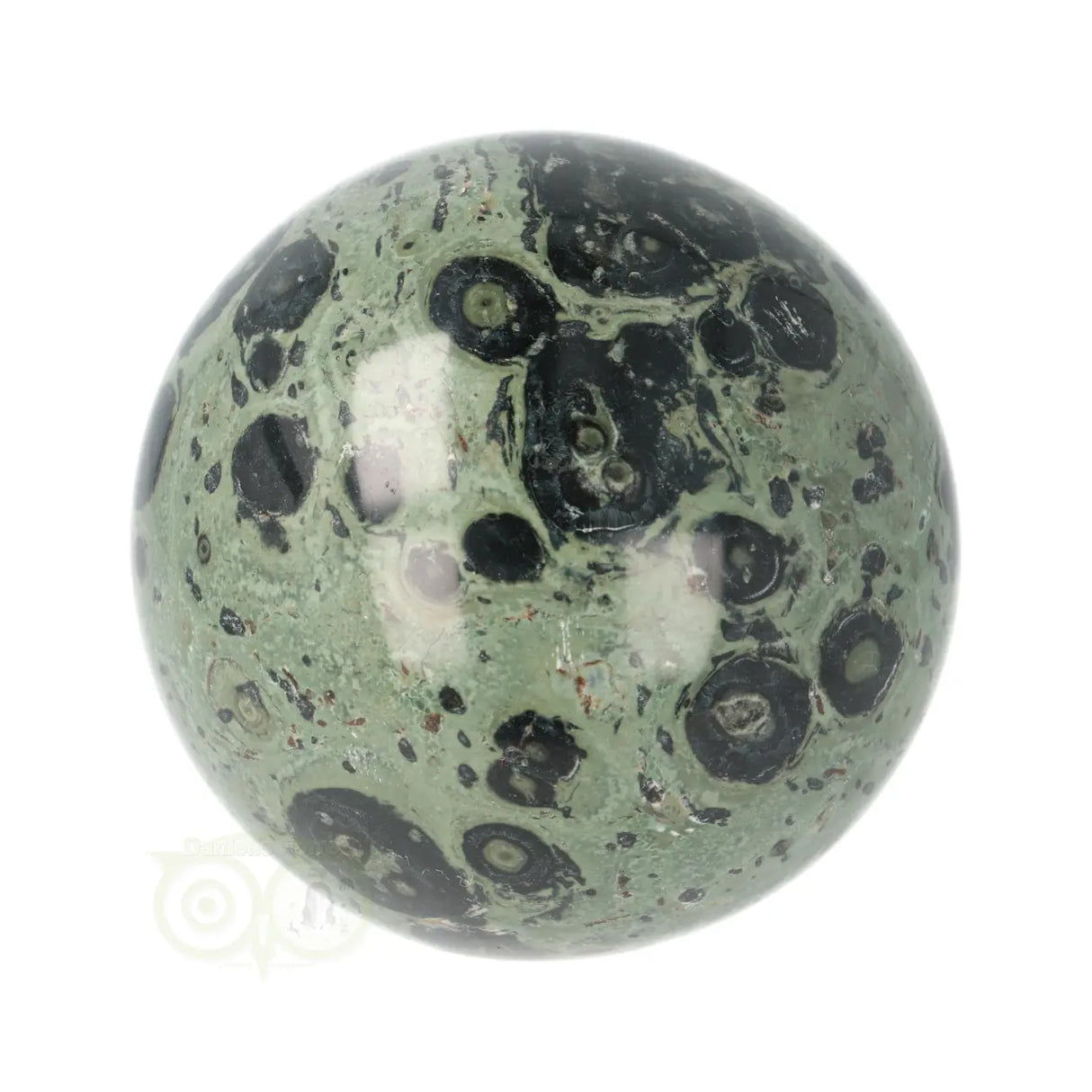 Jaspis Kambaba (Eldariet) bol Nr 25 - Ø 6.98 cm