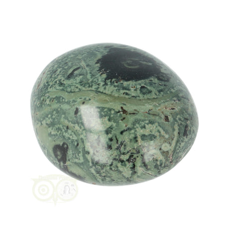 Kambaba Jasper palm stone no. 54 - 61 grams - Madagascar | Gemstone