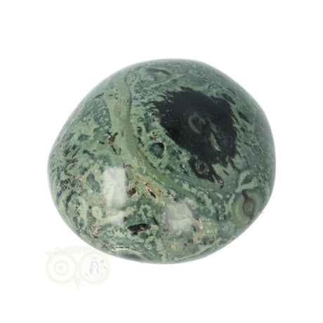 Kambaba Jasper palm stone no. 54 - 61 grams - Madagascar | Gemstone