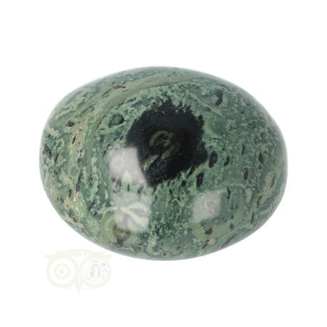 Kambaba Jasper palm stone no. 54 - 61 grams - Madagascar | Gemstone