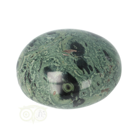 Kambaba Jasper palm stone no. 54 - 61 grams - Madagascar | Gemstone