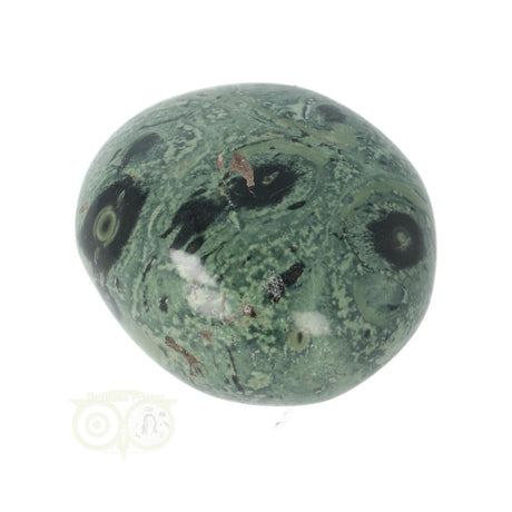 Kambaba Jasper palm stone no. 54 - 61 grams - Madagascar | Gemstone