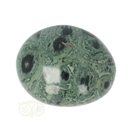 Kambaba Jasper palm stone no. 54 - 61 grams - Madagascar | Gemstone