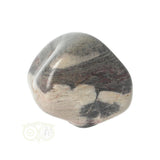 Jaspis Zilverblad trommelsteen nr. 10 - 22 gram | Edelsteen