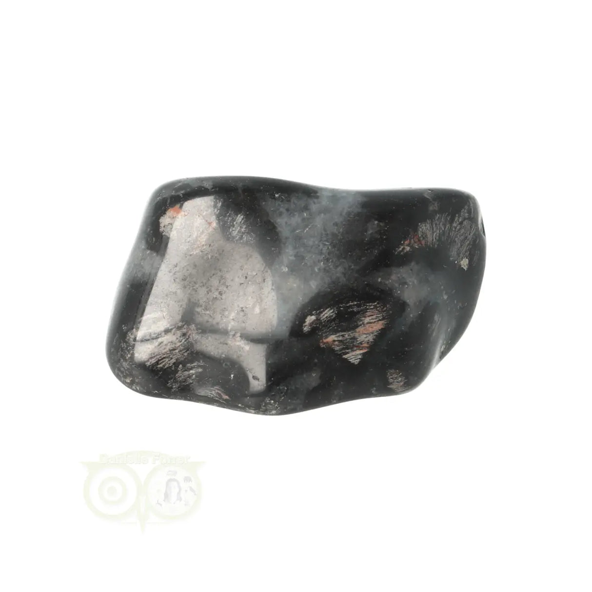 Jaspis Zilverblad trommelsteen Nr 17