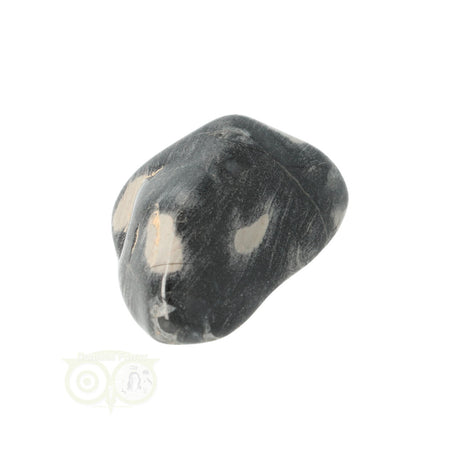 Jaspis Zilverblad trommelsteen nr. 9 - 21 gram | Edelsteen
