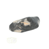 Jasper Silver Leaf tumbled stone No. 9