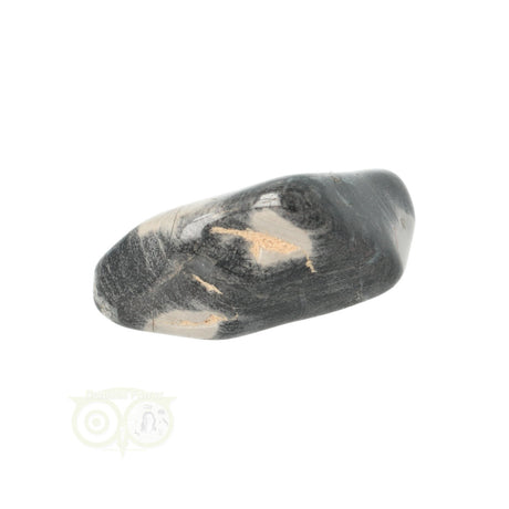 Jaspis Zilverblad trommelsteen nr. 9 - 21 gram | Edelsteen