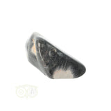 Jasper Silver Leaf tumbled stone No. 9