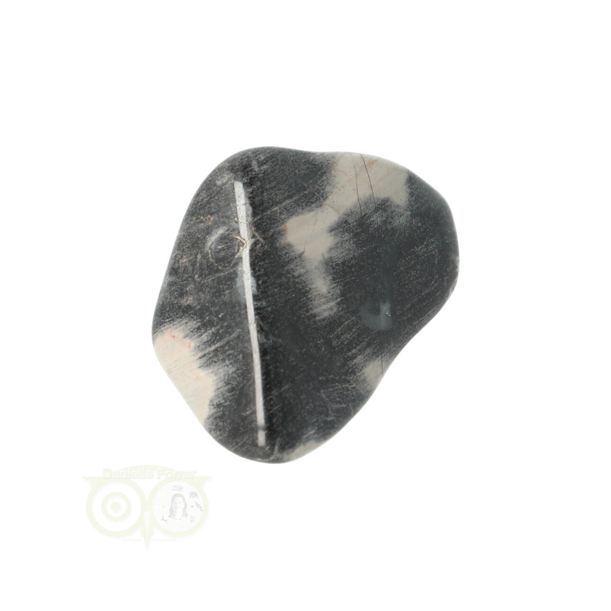 Jasper Silver Leaf tumbled stone No. 9