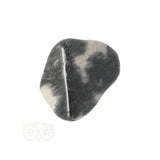 Jasper Silver Leaf tumbled stone No. 9