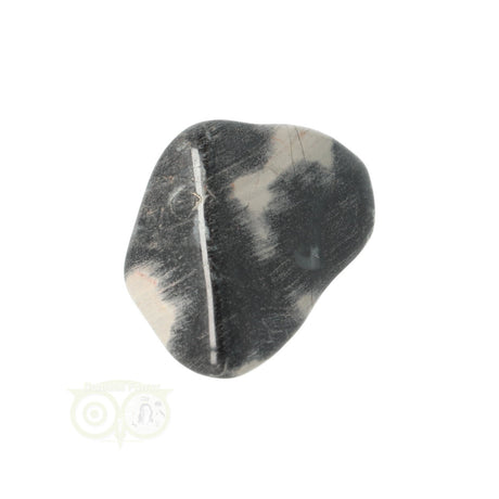 Jaspis Zilverblad trommelsteen nr. 9 - 21 gram | Edelsteen