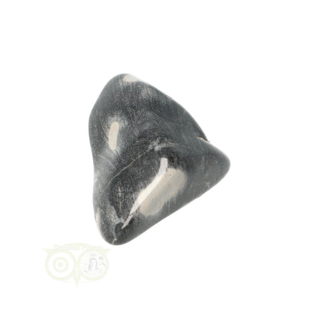 Jaspis Zilverblad trommelsteen nr. 9 - 21 gram | Edelsteen