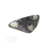 Jasper Silver Leaf tumbled stone No. 9