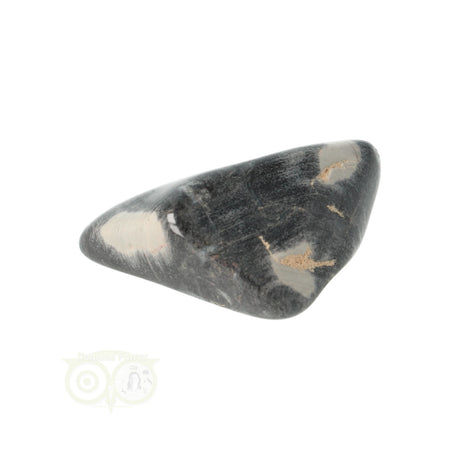 Jaspis Zilverblad trommelsteen nr. 9 - 21 gram | Edelsteen