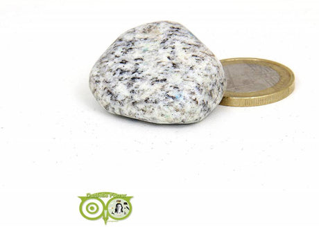 K2 (kitaniet) trommelsteen Nr 15