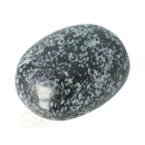 Kammereriet handsteen Nr 11