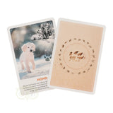 Kinder-Krachtdieren kaarten Junior - Petra Stam