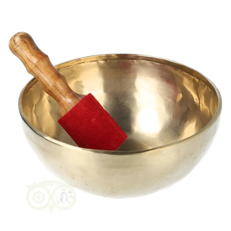 Singing bowl 1346 grams
