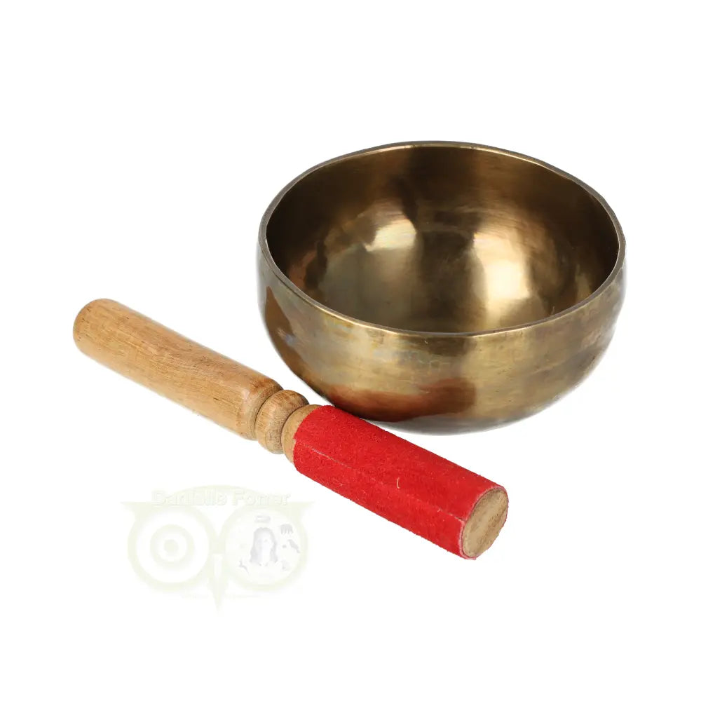 Singing bowl 252 grams