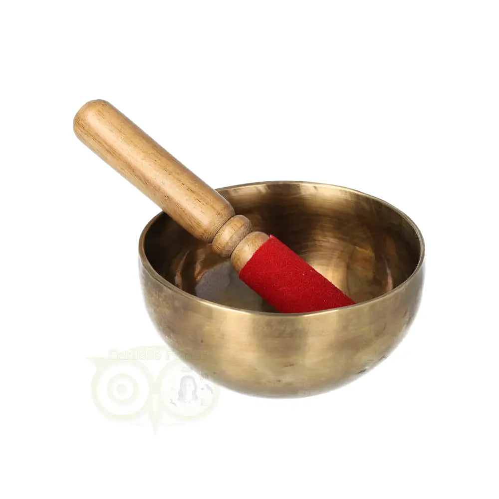 Singing bowl 313 grams
