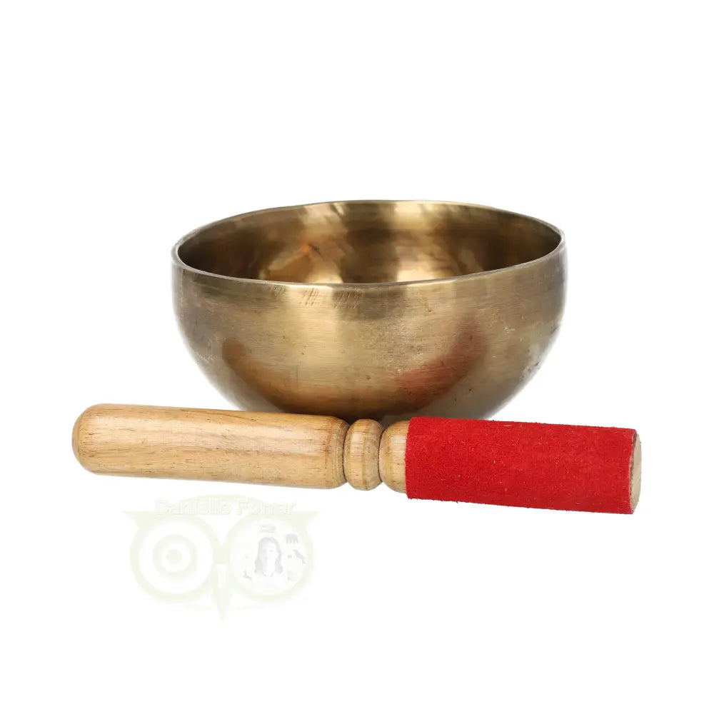 Singing bowl 313 grams