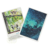 Krachtdieren kaarten - Petra Stam