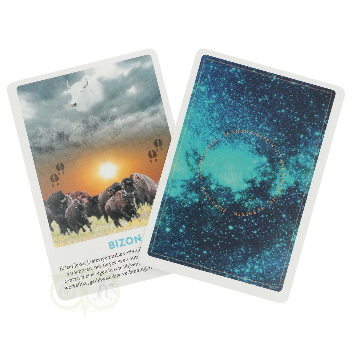 Krachtdieren kaarten - Petra Stam