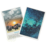 Krachtdieren kaarten - Petra Stam