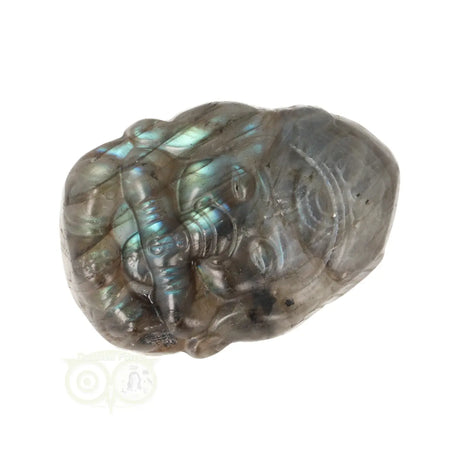 Labradoriet carving nr 11 – WYSIWYG exact deze Ganesha steen