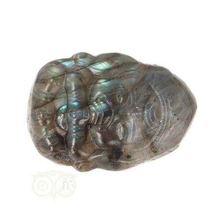 Labradoriet beeldje Ganesha – carving met mystiek lichtspel en glans