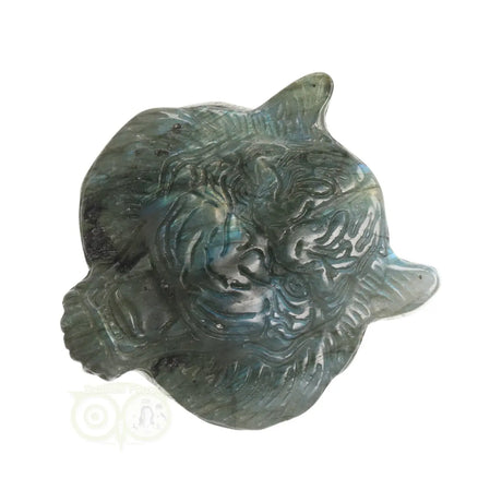 Labradoriet tijger carving – edelsteen met blauwe en gouden flitsen