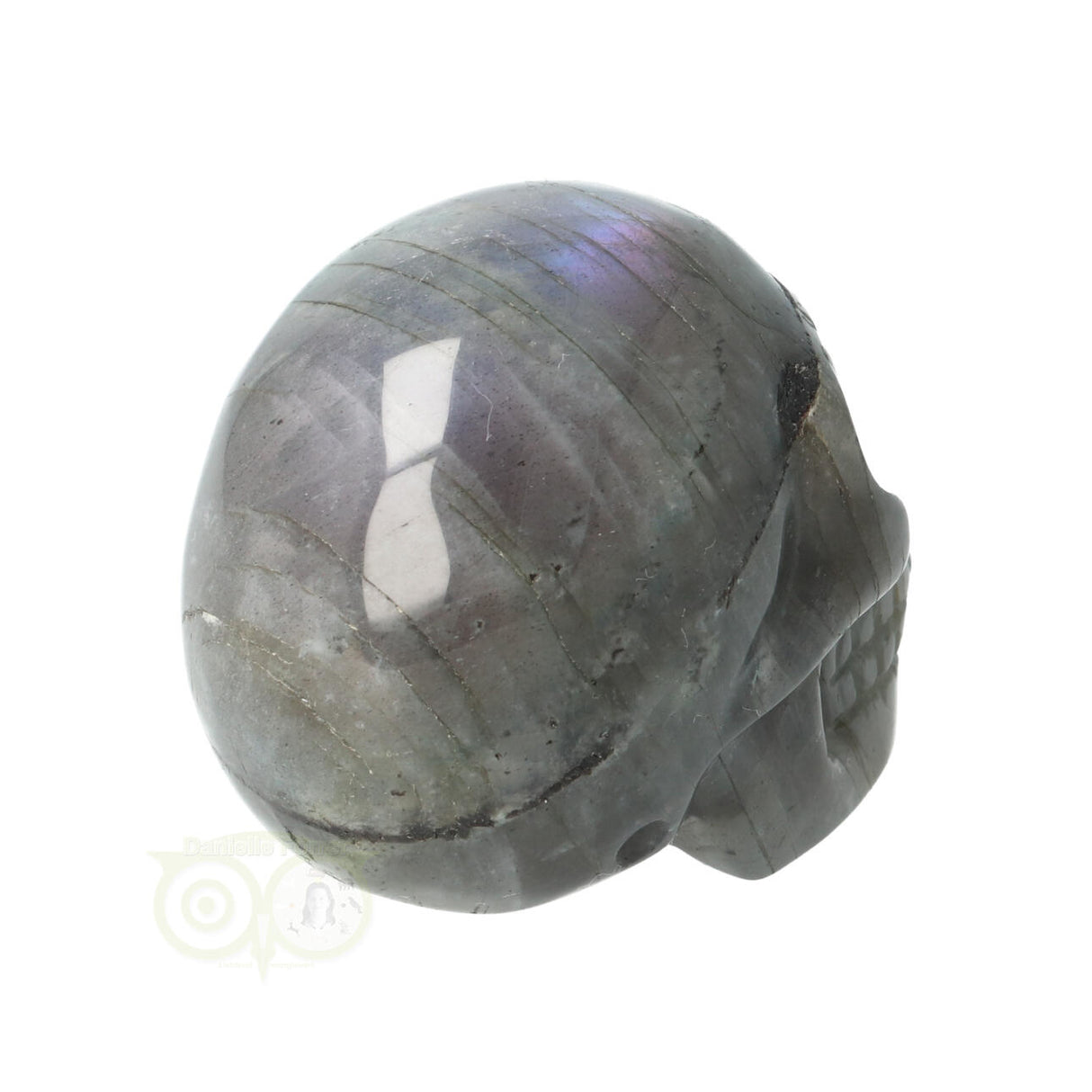 Labradoriet schedel Nr 12