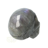 Labradoriet schedel Nr 12