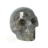 Labradoriet schedel Nr 12