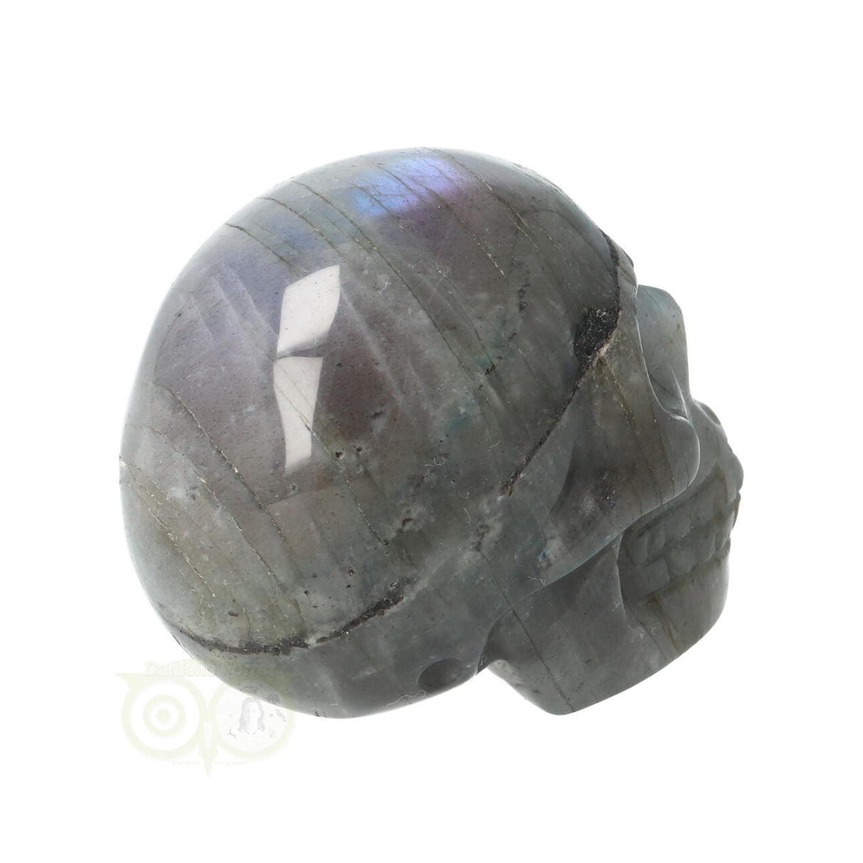 Labradoriet schedel Nr 12