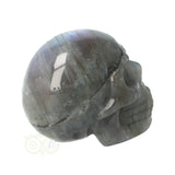 Labradoriet schedel Nr 12