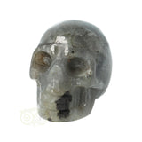 Labradoriet schedel Nr 12