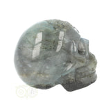 Labradoriet schedel Nr 14