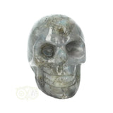 Labradoriet schedel Nr 14